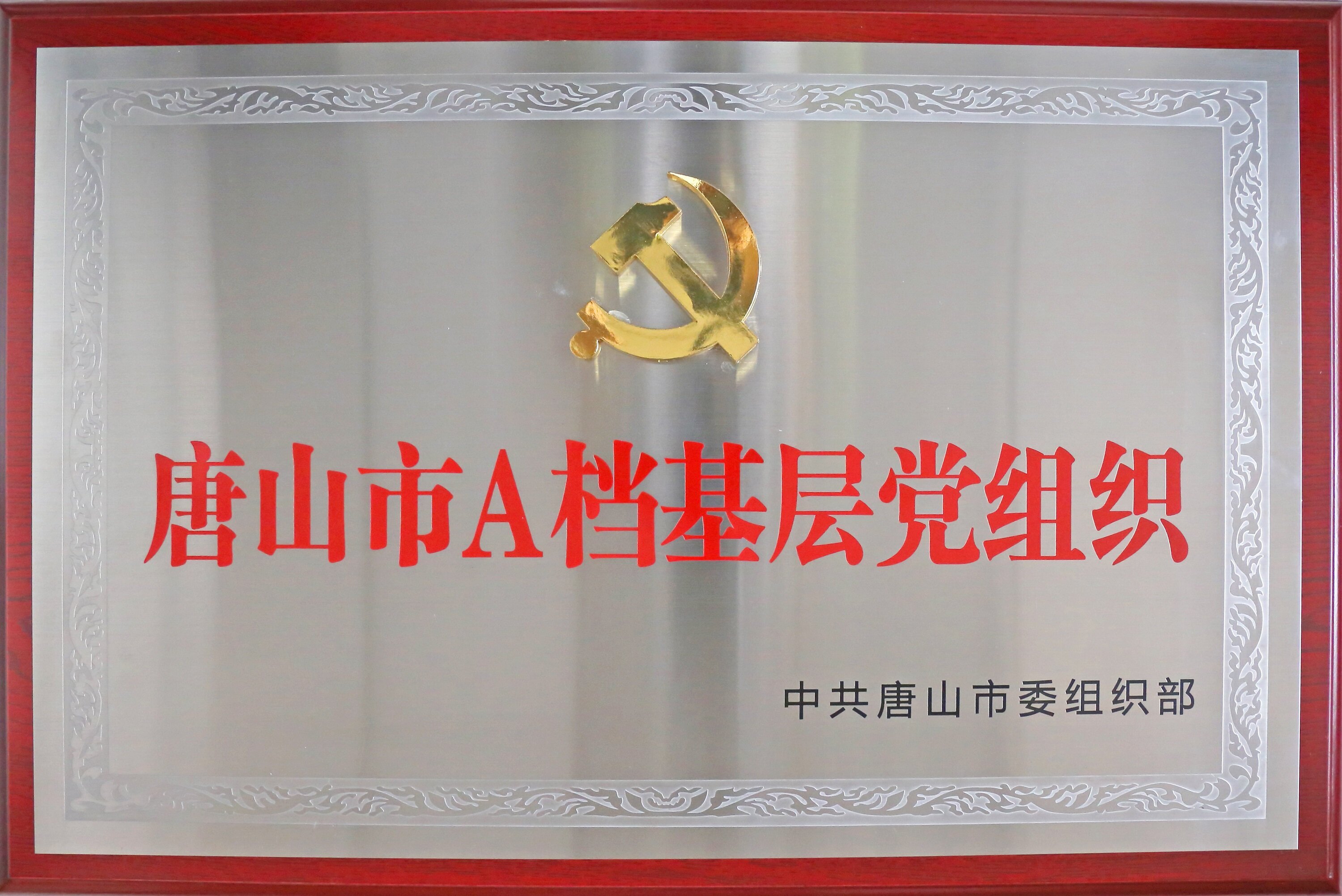 唐山市A档基层党组织_proc.jpg